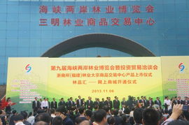 我校代表團(tuán)赴閩參加第九屆海峽兩岸林業(yè)博覽會(huì)暨投資貿(mào)易洽談會(huì)，開(kāi)展專(zhuān)業(yè)咨詢(xún)服務(wù)